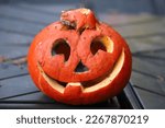 Small photo of Hallowen pumpkin. Covered in mould and with fruit flies. Rotten, spoilt. Thrown in the rubbish after the hallowen festival.