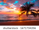 Silhouette of palm trees Beautiful sunset on the tropical sea beach background for travel in holiday relax time,