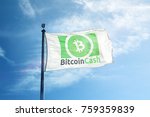 Bitcoin Cash Logo Flag (Green)