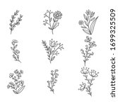vector collection of hand drawn ... | Shutterstock .eps vector #1699325509