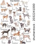 Watercolor Dogs Alphabet. Dogs...