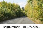 Small photo of Road with dent and yellow-green trees an semblance of tonnel.Car.