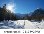 snow-covered road surrounded by pine trees on a sunny winter day in Pertisau