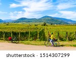 Small photo of Young woman cyclist stopping by vineyards on Alsatian Wine Route near Ribeauville village, France