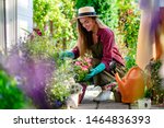 Happy gardener woman in gloves and apron plants flowers on the flower bed in home garden. Gardening and floriculture. Flower care