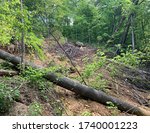 Small photo of A landslide next to a jeep road at Frozen Head State Park, Zeek Ridge Trail, Morgan County, Tennessee