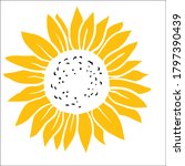 sunflower. image of hand drawn... | Shutterstock . vector #1797390439