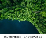 Aerial top view of country road in green summer forest and blue lake. Rural landscape in Finland. Drone photography from above.