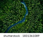 Aerial view of green grass forest with tall pine trees and blue bendy river flowing through the forest in Finland