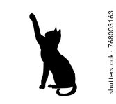 black silhouette of a cat | Shutterstock .eps vector #768003163