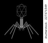 virus bacteriophage schematic... | Shutterstock .eps vector #227371549