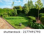Small photo of Front yard -part of garden - near prosperous dacha in Belgian village . Behind - rose bushes and in right - fence from plants (thuijas) in Moscow oblast