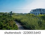 Small photo of Amazing roof garden on Faculty of Botany with red bushes (barbaris or vesicle) an round pine trees and garden apth - in sunny summer day!