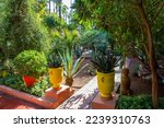 Potted plants next to garden and villa Majorelle (made 1923)   on veranda  walls are bright blue and potted plants in bright yellow pots -one of being owners was icon French designer Yves Saint Lauren