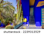 Amazing bright blue wall of villa and cacti garden next to.   One of owners   mansion   in past was was icon fashion designer Yves Saint Lauren of Majorelle 