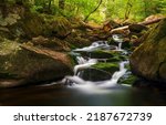 A beautiful stream in the forest. Forest cold creek flowing. River waterfall on mossy rocks. Forest stream of water