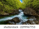 Small photo of A stormy river stream in the forest. Wild river rapids. Forest river landscape. River rapid in forest