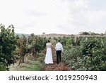 wedding couple, newlyweds walking among trees and vineyards
