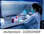Small photo of Scientist used a micro pipette in sample preparation in laboratory fume hood for bioassay of in vitro cells on a microplate, 96 well in the laboratory.