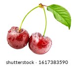 Fresh ripe cherry with stems...
