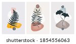 botanical illustration art wall ... | Shutterstock .eps vector #1854556063