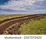 Small photo of Freshly cut blocks of peat stacked in rows above a trench in the peat base and lying in the sun to dry