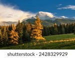 Beautiful scenery of autumn mountain landscape with snowy mountain peak in the clouds. Colorful forest with autumn larch trees. Incredible autumn scenery. Kriváň in the High Tatras in Slovakia.