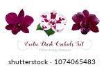 Watercolor Style Dark Orchid...