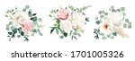 blush pink rose and sage... | Shutterstock .eps vector #1701005326