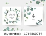 herbal eucalyptus selection... | Shutterstock .eps vector #1764860759