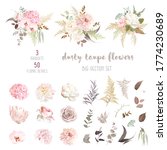 dusty pink and ivory beige rose ... | Shutterstock .eps vector #1774230689