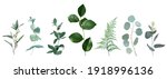 mix of herbs and plants vector... | Shutterstock .eps vector #1918996136
