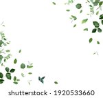 herbal minimalist vector frame. ... | Shutterstock .eps vector #1920533660
