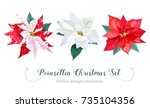 Christmas Poinsettia Selection...
