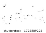 a hand drawn flock of flying... | Shutterstock .eps vector #1726509226