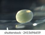 Small photo of Macro shot of soft gel supplement dilute in warm water