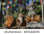 Monkey Family In Swayambhunath...
