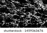 rough black and white texture... | Shutterstock .eps vector #1459363676