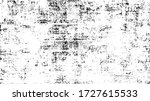 rough black and white texture... | Shutterstock .eps vector #1727615533
