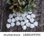 Small photo of Natural shells are an excellent material for carving. From time immemorial, people have learned to carve various ornaments from this material.