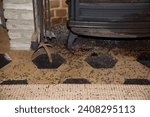 Small photo of Cluster flies (Pollenia): a.k.a. grass flies or attic flies make an unsightly appearance when they seek winter shelter inside homes en masse
