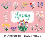 early spring forest and garden... | Shutterstock .eps vector #1622778673