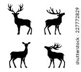 Deer Collection   Vector...