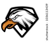 eagle head vector logo  | Shutterstock .eps vector #1036113439