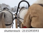 Small photo of A traditional Russian troika in a snowy field. Rear view. A man drives a sleigh with horses