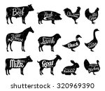 Set Of Butchery Logo. Farm...