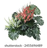 Tropical plant monstera bush...