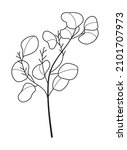eucalyptus branch vector in... | Shutterstock .eps vector #2101707973