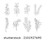 eucalyptus branch vector set in ... | Shutterstock .eps vector #2101927690