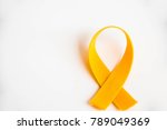 yellow awareness ribbon symbol... | Shutterstock . vector #789049369
